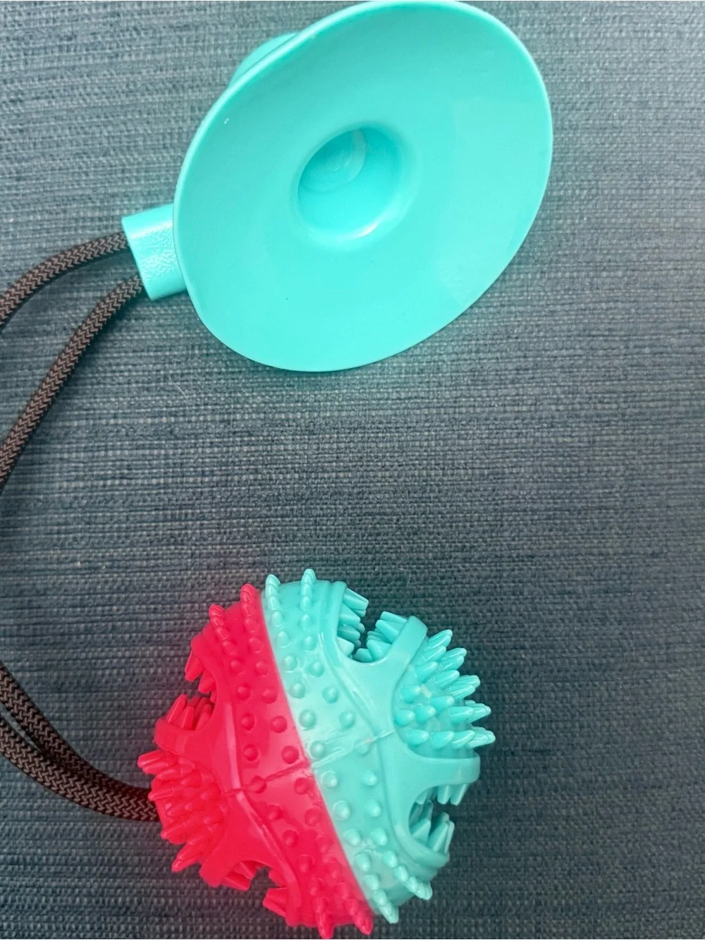 Textured Tug Toy Ball suction to floor